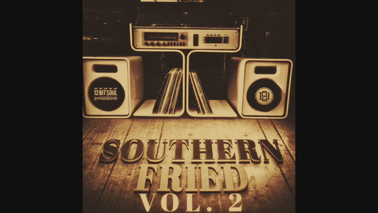 Music producer using Southern Fried Vol. 2 guitar and bass samples in a digital audio workstation