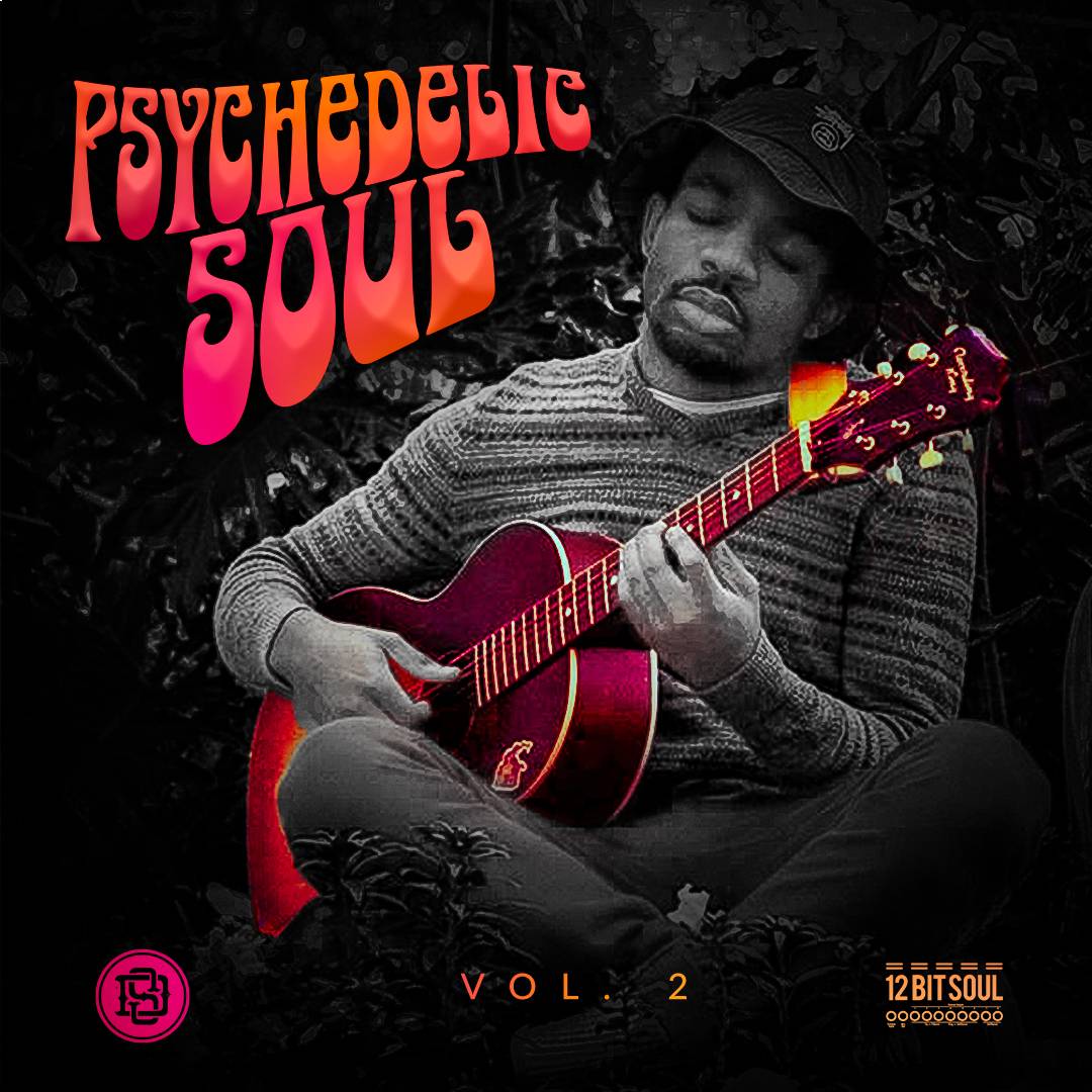 レア インディ R&B Soul SLYY Psychedelic Soul Volume 2 || 12 bit soul