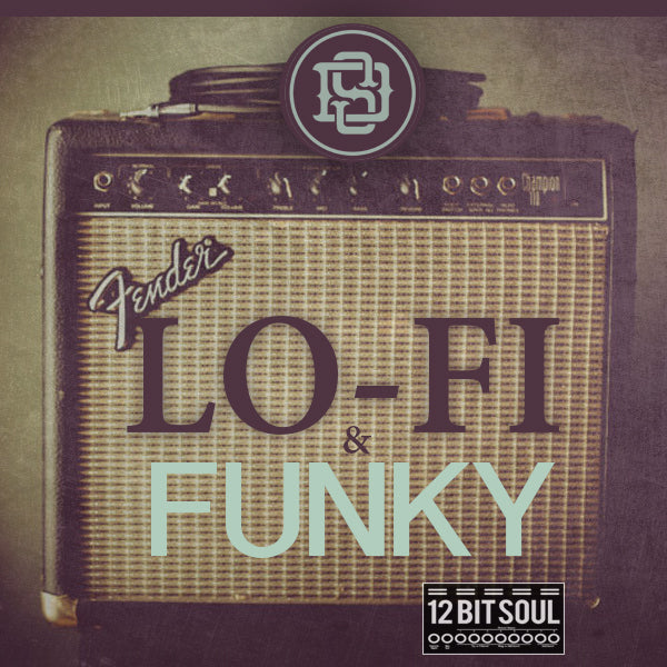 Lo-Fi & Funky 12 Bit Soul sample pack featuring gritty lo-fi guitars, muddy basslines, SP1200 drums, and live instrumentation for music producers.

