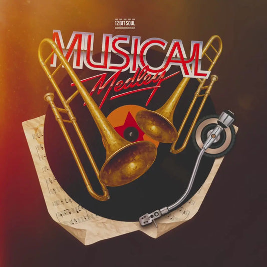 Musical Medley – 12 Bit Soul