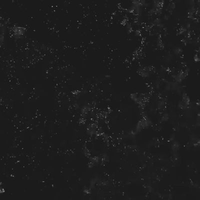 Lagniappe Sound Kit