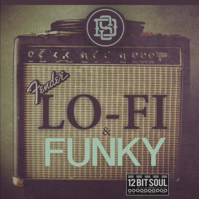 Lo-Fi & Funky 12 Bit Soul sample pack. Authentic lo-fi guitars, basslines, SP1200 drums, and gritty percussion for music producers and beatmakers.

