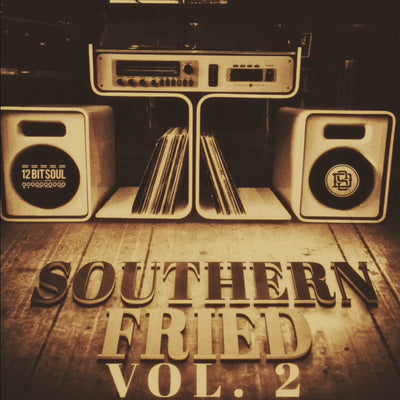Music producer using Southern Fried Vol. 2 guitar and bass samples in a digital audio workstation

