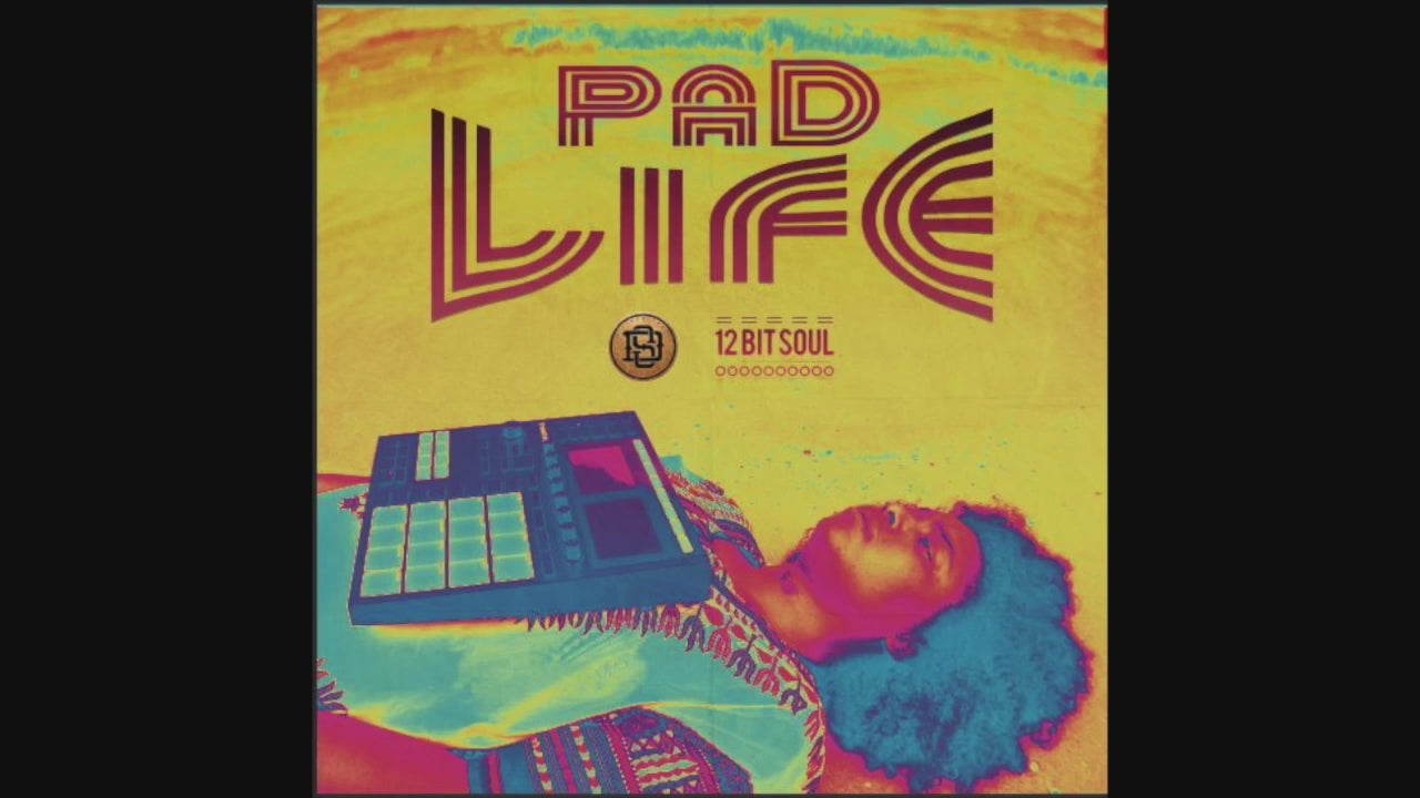 Pad Life analog construction kit  Video 

