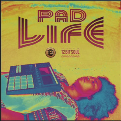 Pad Life analog construction kit  Video 
